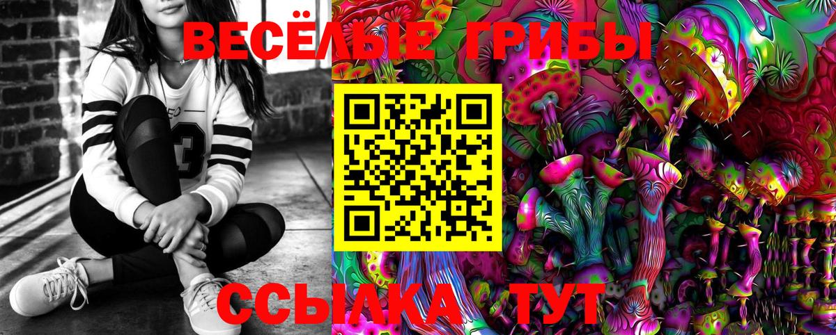 Галлюциногенные грибы прущие грибы  Псилоцибиновые грибы MAGIC MUSHROOMS  Вход с VPN  Славянск-на-Кубани 